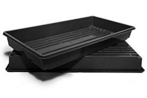 tray for broccoli microgreens